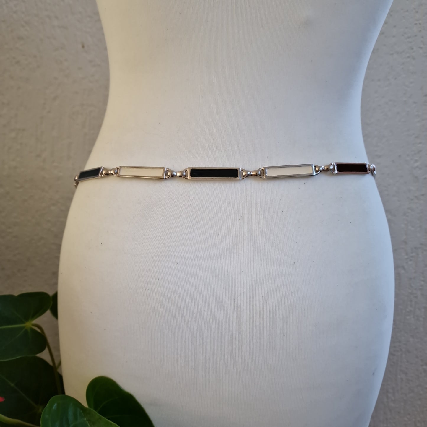 ceinture ventrale 1