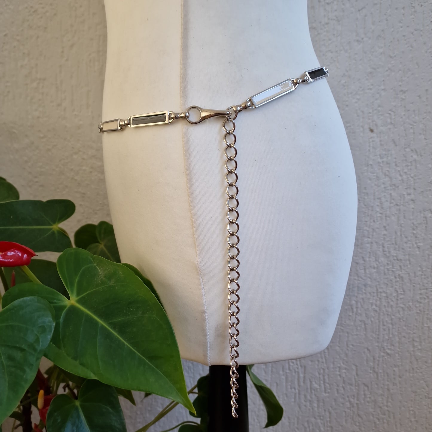 ceinture ventrale 1