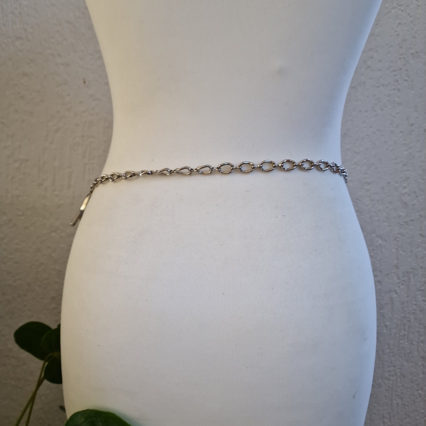 ceinture ventrale 2