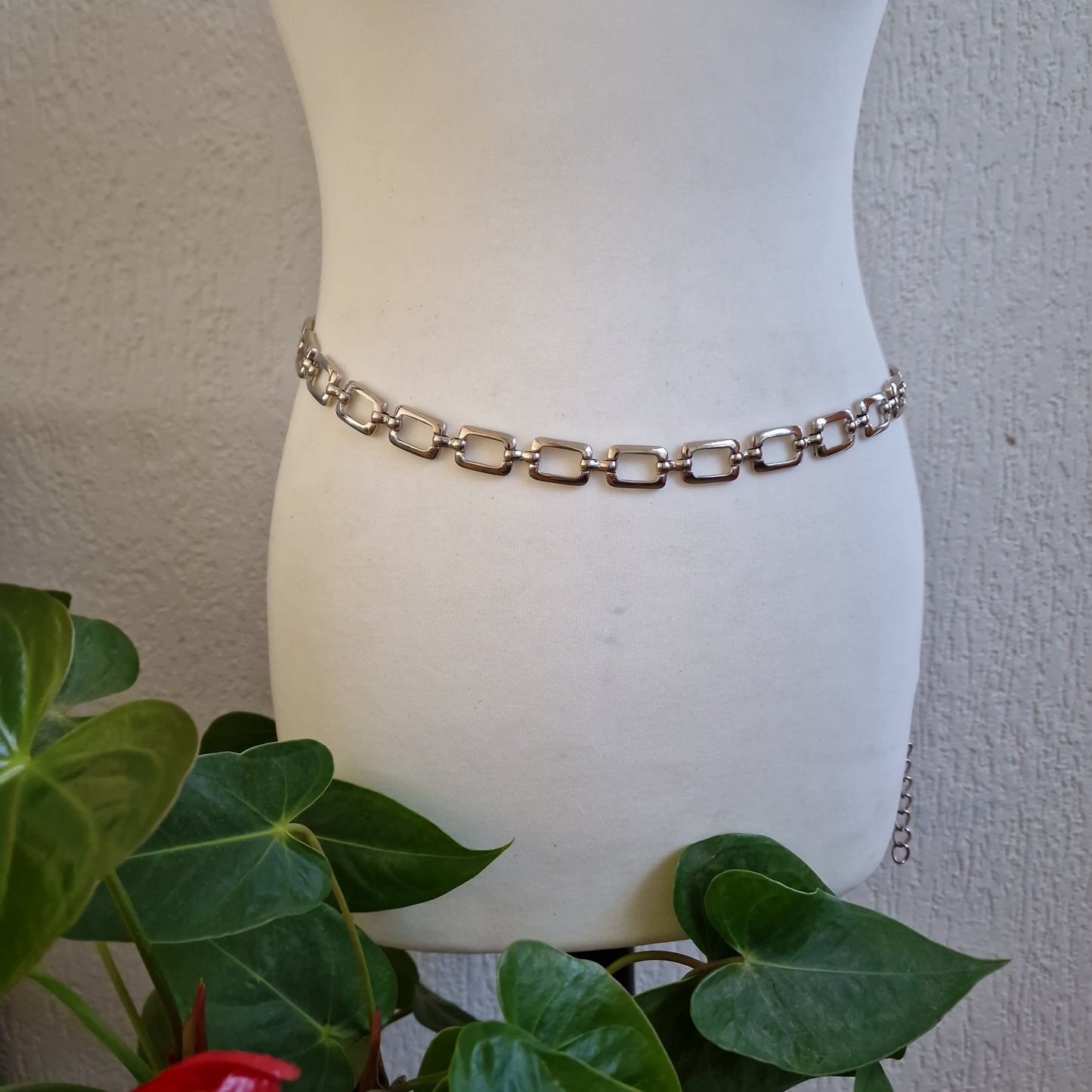 ceinture ventrale 5