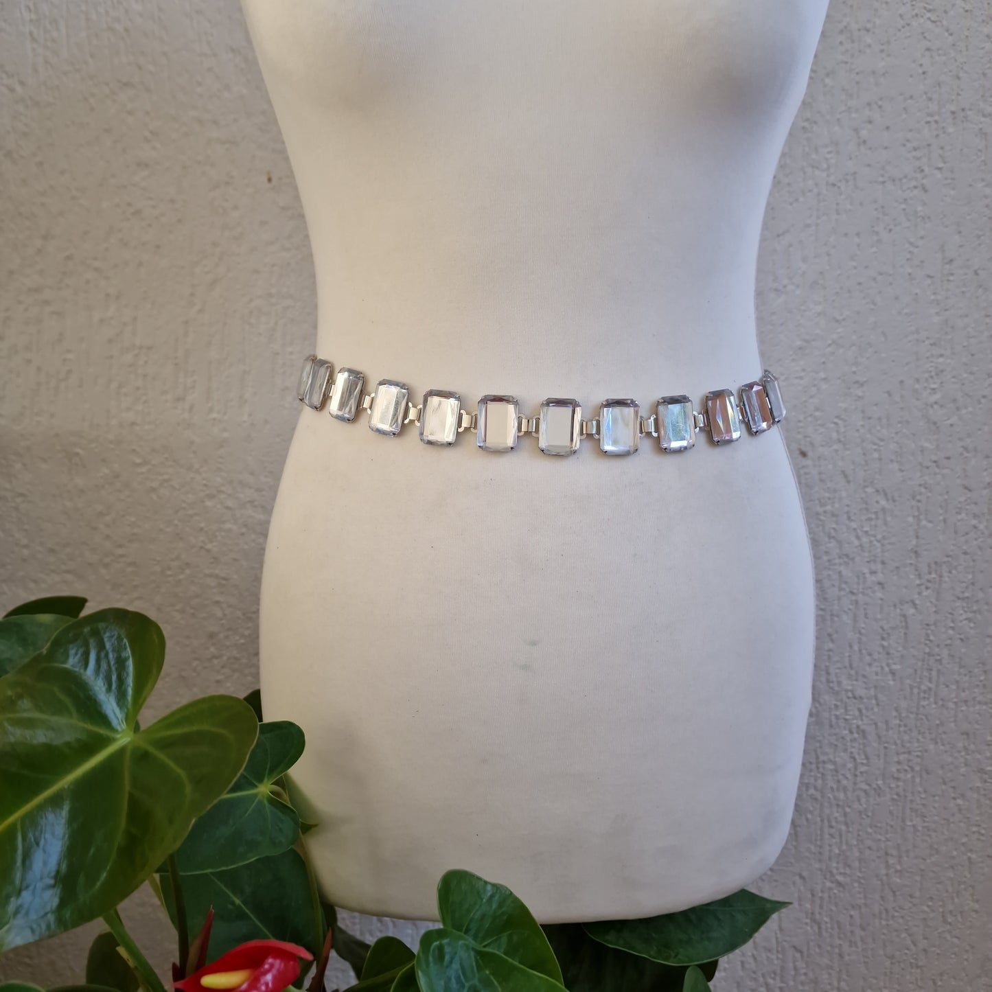 ceinture ventrale 8